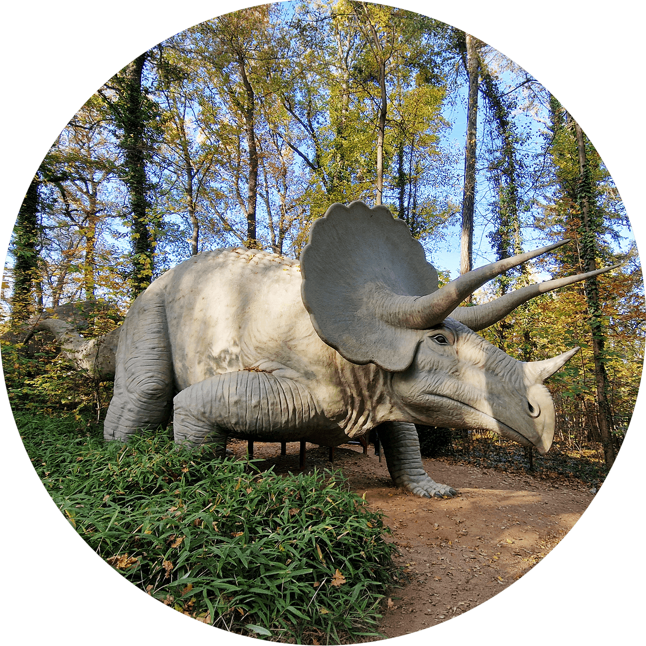 Kleinwelka - Park Dinozaurów