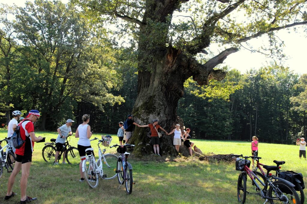 Lato z Parkiem Mużakowskim - sierpień, fot. Barbara Iwlew/NID