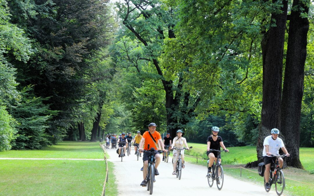 Lato z Parkiem Mużakowskim za nami